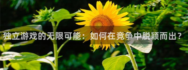 亿万28官网登录注册账号安全吗可靠吗：独立游戏的无限可能：如何在竞争中脱颖而出？