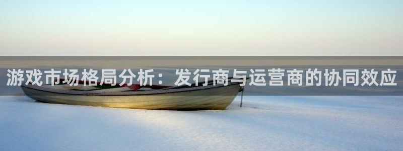 亿万28子文化有什么游戏：游戏市场格局分析：发行商与运营商的协同效应