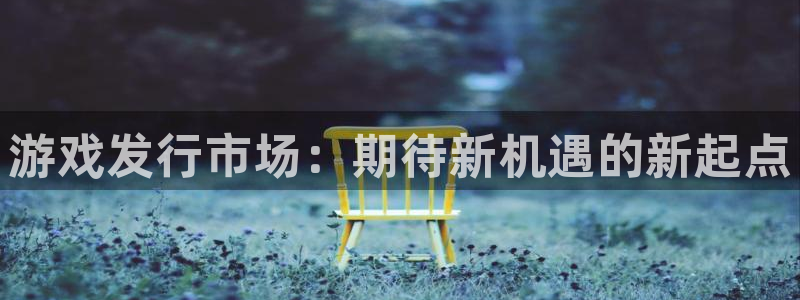 亿万28官网平台是骗局吗：游戏发行市场：期待新机遇的新起点