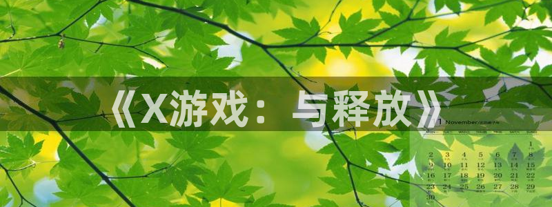 亿万28官网注册平台登录：《X游戏：与释放》