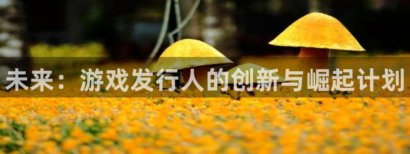 顺德亿万28电商：未来：游戏发行人的创新与崛起计划