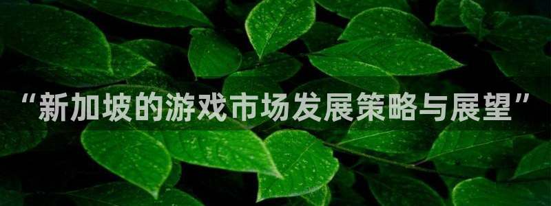 亿万28官网登录注册账号是什么：“新加坡的游戏市场发展策略与展望”