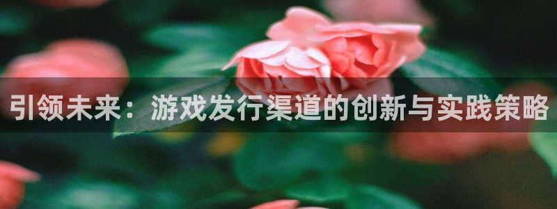 亿万28集团：引领未来：游戏发行渠道的创新与实践策略
