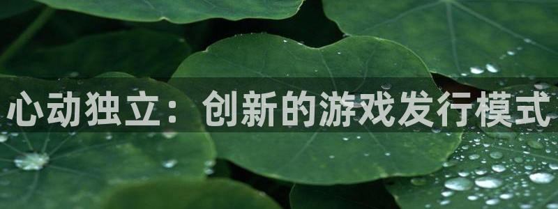 亿万28官网注册地址在哪里：心动独立：创新的游戏发行模式
