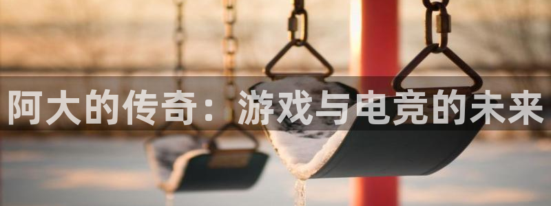 亿万28工坊：阿大的传奇：游戏与电竞的未来