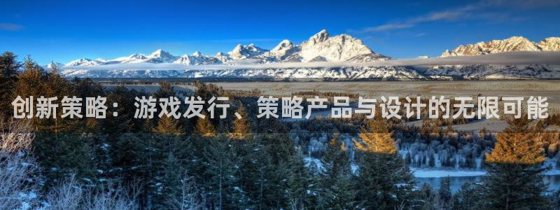 亿万28电商怎么样可靠吗：创新策略：游戏发行、策略产品与设计的无限可能