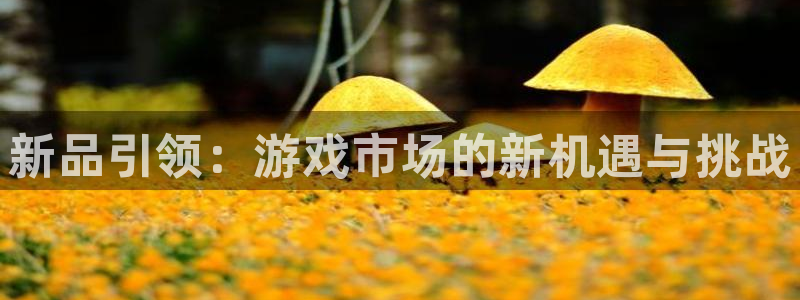 亿万28子书店：新品引领：游戏市场的新机遇与挑战