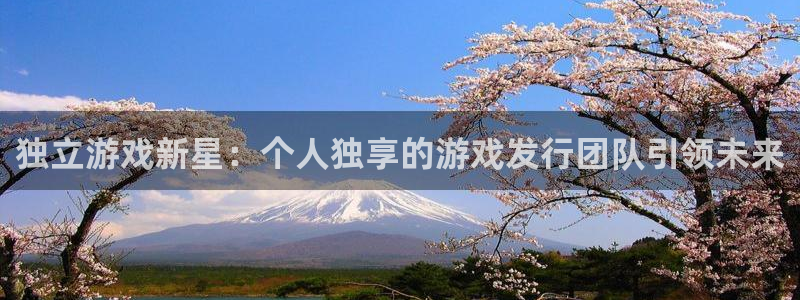 亿万28lvnces是什么档次：独立游戏新星：个人独享的游戏发行团队引领未来