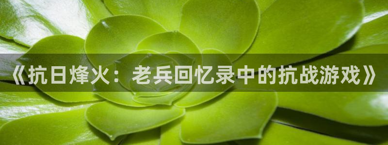 亿万28子公司怎么样可靠吗