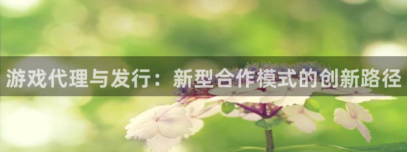 佛山亿万28电子商务