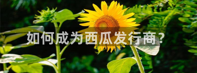 亿万28电子商务有限公司电话