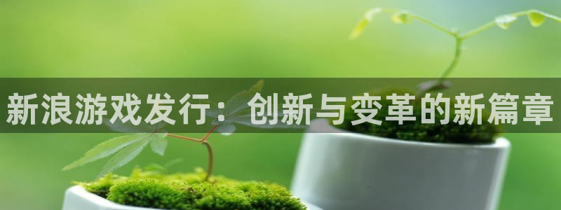 亿万28子文化有什么游戏