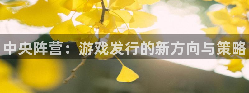 亿万28官网主管联3.7.9.9.7 主管：中央阵营：游戏发行的新方向与策略