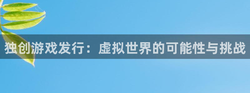 亿万28子经理人读后感：独创游戏发行：虚拟世界的可能性与挑战