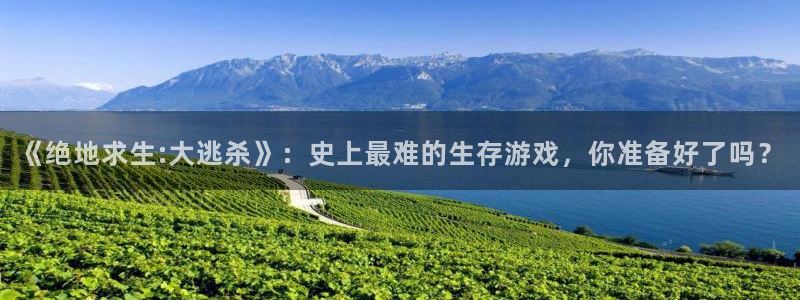 亿万28品牌策划公司