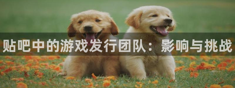 亿万28官网登录注册账号安全吗可靠吗